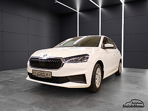 SKODA Fabia Active 1.0MPI LED Sitzhzg. Parkpilot 