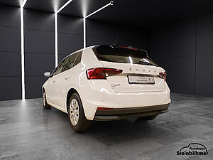 SKODA Fabia Active 1.0MPI LED Sitzhzg. Parkpilot 