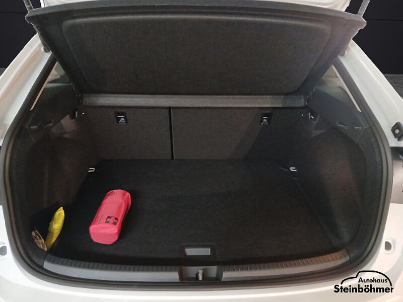 Volkswagen Taigo Goal 1.0TSI Navi LED Sitzhzg. Parkpilot