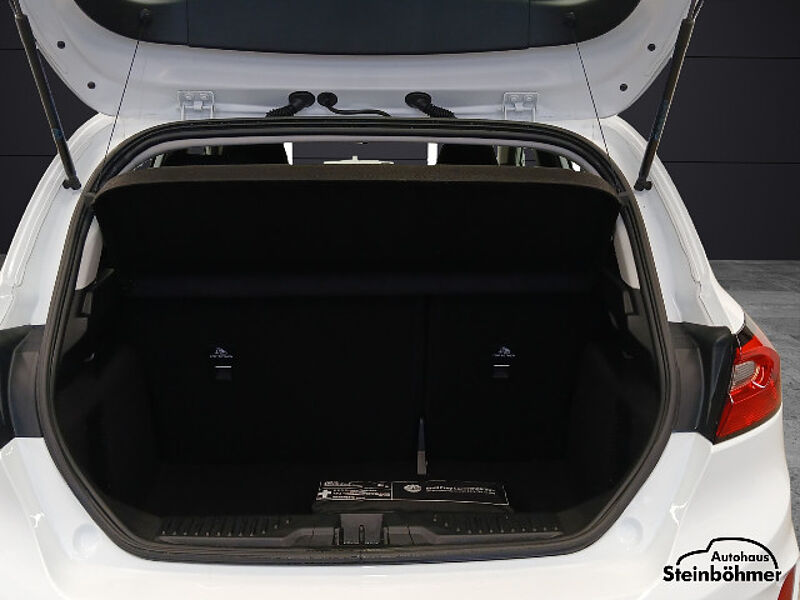 Ford Fiesta Titanium 1.0EcoBoost LED NAV Bluetooth